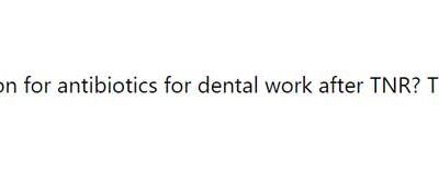 Who Orders the Antibiotics After Knee Replacement Before Dental Work